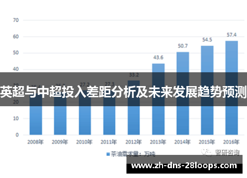 英超与中超投入差距分析及未来发展趋势预测 英超与中超投入差距分析及未来发展趋势预测