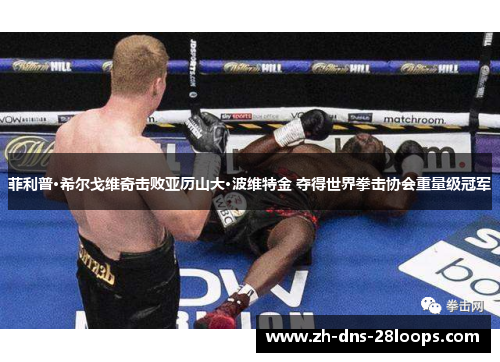 菲利普·希尔戈维奇击败亚历山大·波维特金 夺得世界拳击协会重量级冠军 菲利普·希尔戈维奇击败亚历山大·波维特金 夺得世界拳击协会重量级冠军
