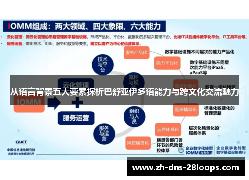 从语言背景五大要素探析巴舒亚伊多语能力与跨文化交流魅力 从语言背景五大要素探析巴舒亚伊多语能力与跨文化交流魅力