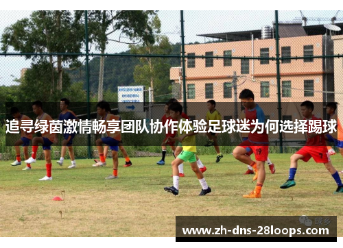 追寻绿茵激情畅享团队协作体验足球迷为何选择踢球 追寻绿茵激情畅享团队协作体验足球迷为何选择踢球