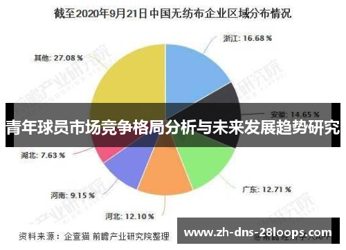 青年球员市场竞争格局分析与未来发展趋势研究